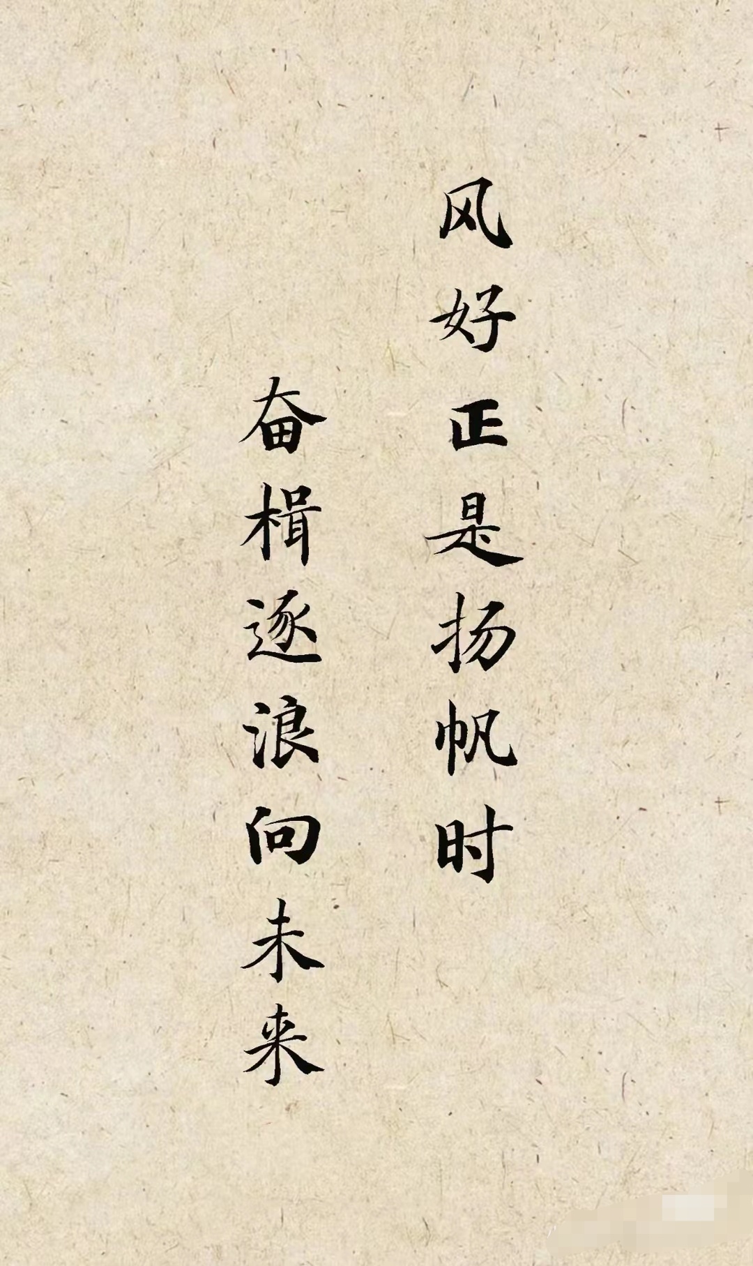 不负众望，帆船队员矢志夺冠